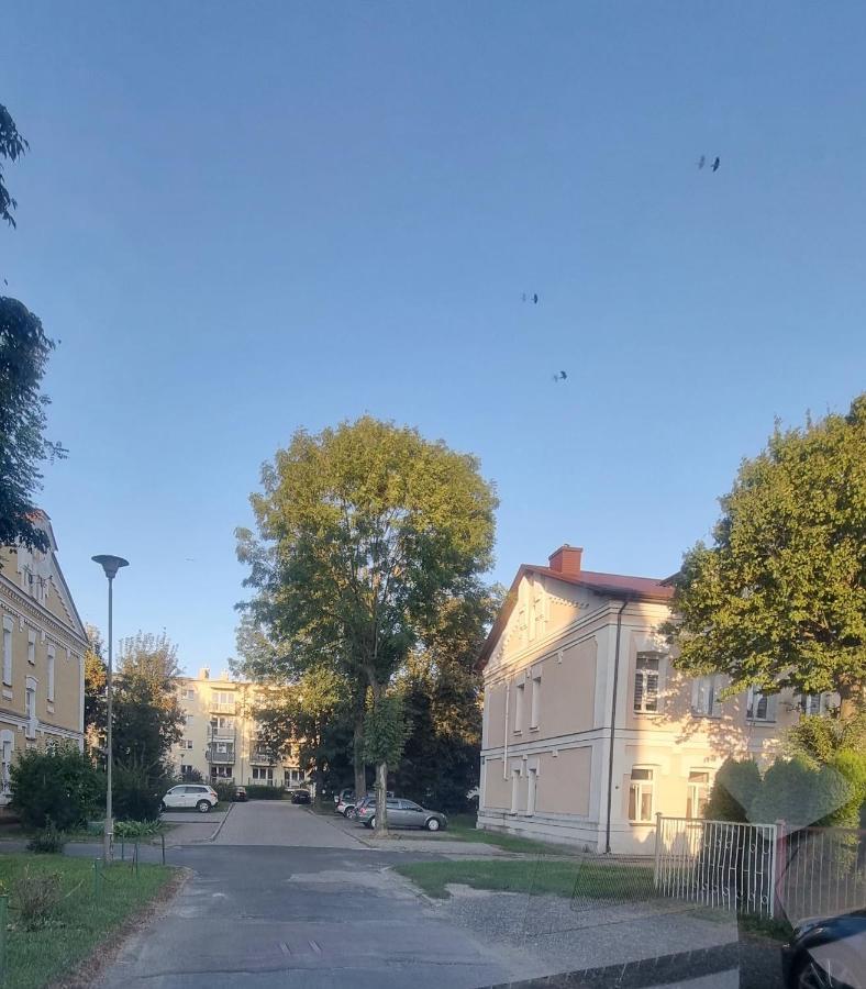 Apartament Kresowy Parter 3 Pokoje Duza Lazienka Kabino-Wanna Spa Wi Fi Ekspres 2X Smart Tv Antresola Parking Free Plac Zabaw Bilet Na Aquapark 150M W Cenie Hrubieszow Exteriör bild